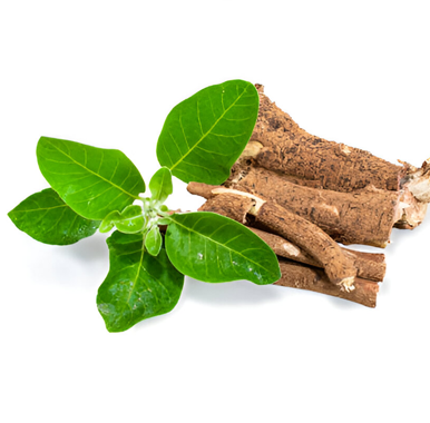 KSM-66® – Extrait de racines 